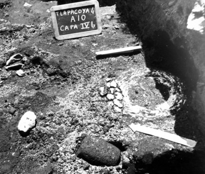 Fibras vegetales encontradas durante las excavaciones en Tlapacoya