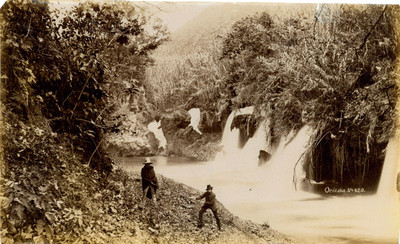 Cascadas en los alrededores de "Orizaba"