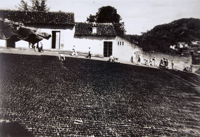 Personal y alumnos del colegio particular Fray Pedro de Gante