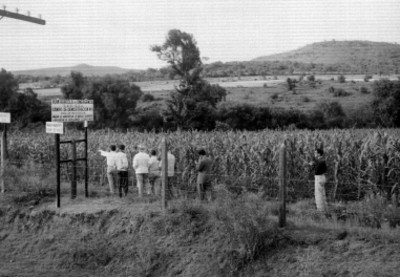 Agricultores supervisando el campo de cultivo de demostración No. 1