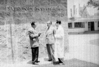 Periodista entrevistando a médicos frente al edificio de la División de Investigación Biológica