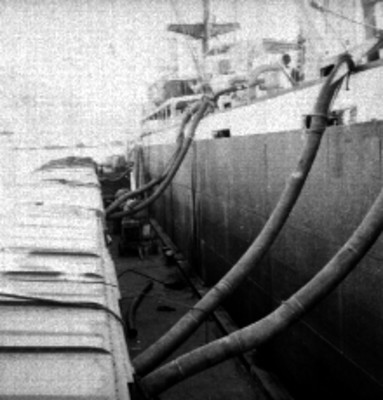 Embarque de trigo a un barco desde turgones en el puerto de Guaymas