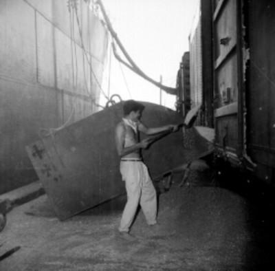 Trabajador paleando trigo a una tolva para transportarlo al barco Constitución