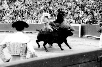 Picador embiste a un toro durante una corrida