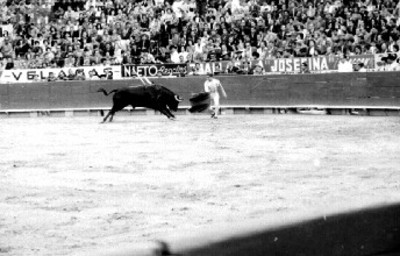 Torero provoca al toro en la corrida