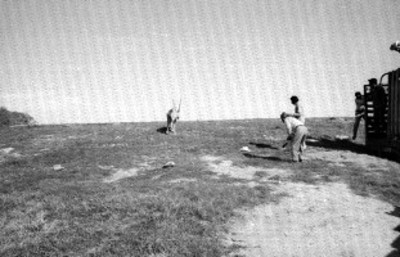 Hombres después de bajar animal en el Africam Safari