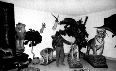 Fotografo junto a león disecado en un salón del Africam Safari