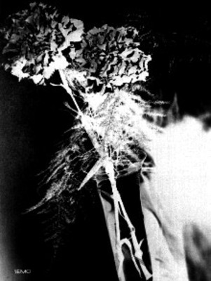 Florero