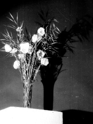 Florero, acercamiento