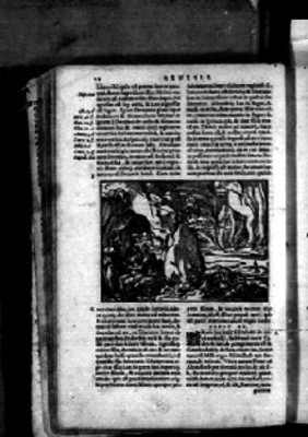 Pasaje bíblico, Génesis, textos en latín e ilustración