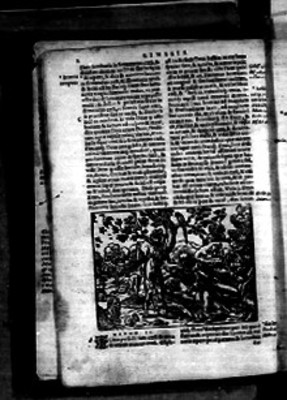 Pasaje bíblico, Génesis, textos en latín e ilustración alusiva al Paraíso