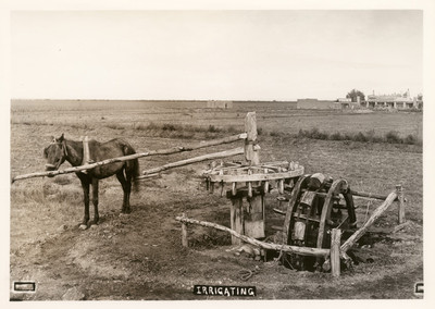 Irrigating