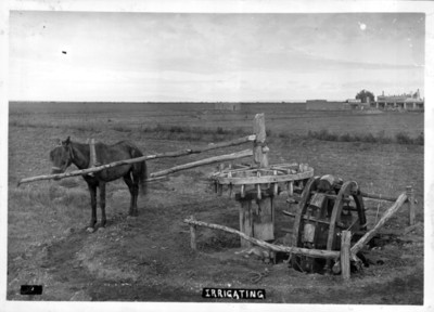 Irrigating