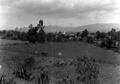 Hombres aran la tierra en un campo de cultivo