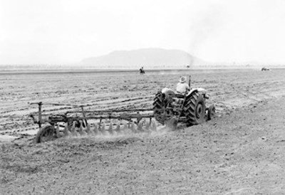 Campesino barbecha la tierra con un tractor