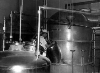 Obrero trabaja con máquina condenzadora de leche
