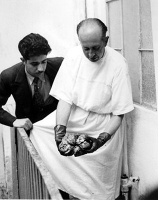 Médico muestra el cerebro de Léon Trotsky