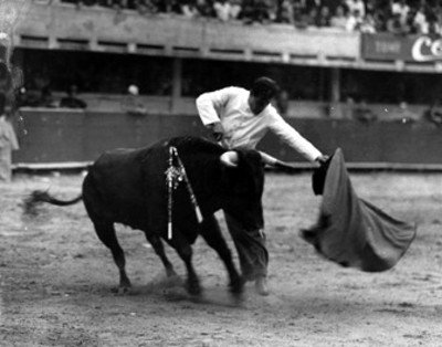 Toreero ejecuta un pase al natural