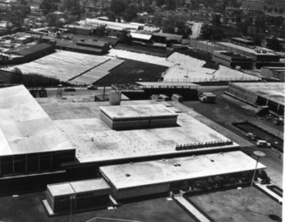 Rastro de aves del D.F., vista parcial