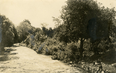 Gente en la orilla del "río cupatitzio"