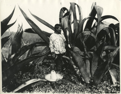 Tlachiquero con acocote junto a un maguey, retrato