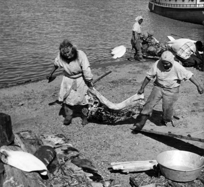 Pescadores cargan trozos de ballena en una playa