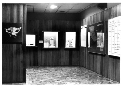 Sala del museo Carlos Pellicer
