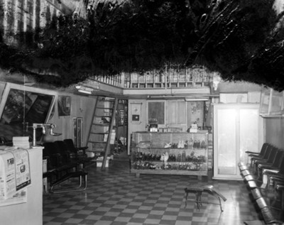Zapatería, interior