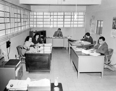 Hombres y mujeres trabajan en una oficina