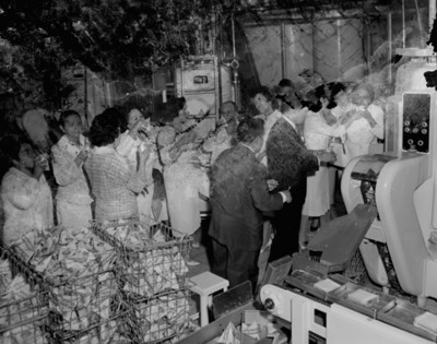 Mujeres durante visita a la fábrica de leche en tetrapac