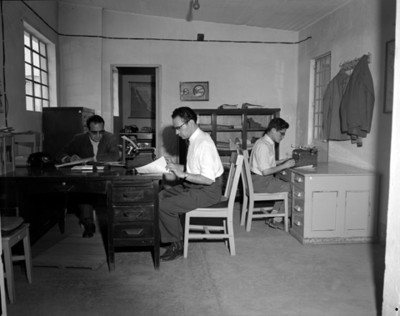 Empleados durante horas laborales en una oficina