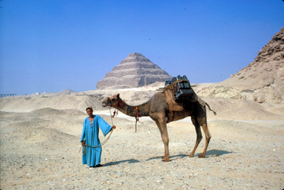 Hombre con camello, al fondo piramide escalonada de Zoser