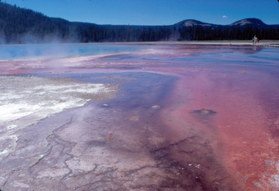 Geiser del Parque Nacional