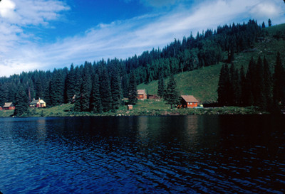 Bosque y lago de la