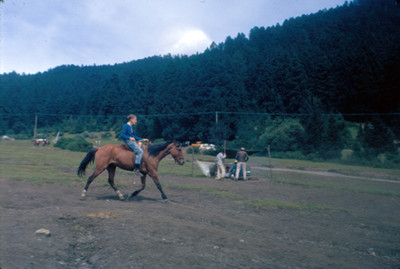 Hombre monta a caballo por el bosque