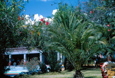 Mujer en el jardin del Hotel Peñafiel
