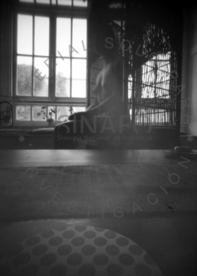 Desnudo sentado con ventana