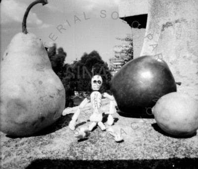 Calavera junto a frutas