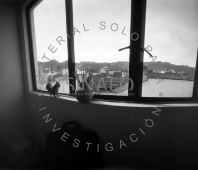 Pinceles en la ventana
