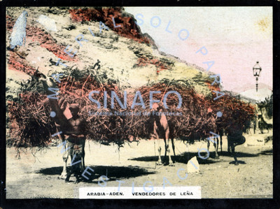 Vendedores de leña