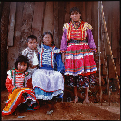 Familia Robles Sandoya, Huastecos