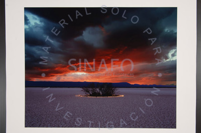 Zona del Silencio II
