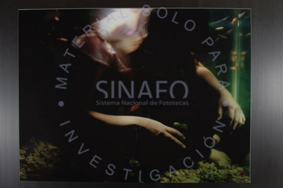 De la serie Soma