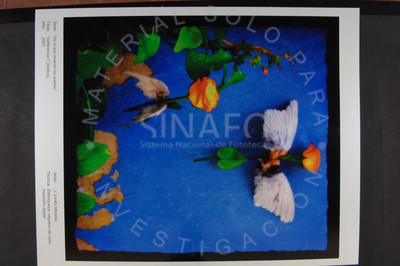 "Indiferencia I" (tríptico)