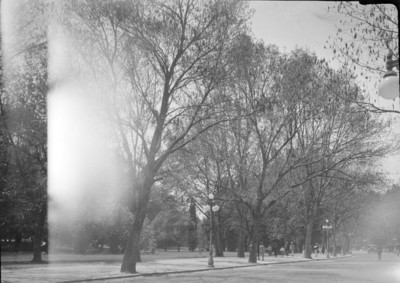 Calzada de entrada al Bosque de Chapultepec