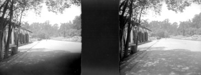 Calzada en Chapultepec, estereoscópica