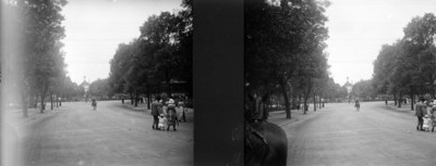 Tramo de la gran avenida en Chapultepec, estereoscópica