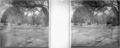 Terraza del lago de Chapultepec, estereoscópica