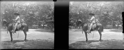 Fregoso en el caballo árabe, retrato, estereoscópica