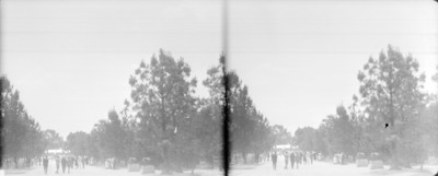 Gente camina en el interior del jardín botánico de Chapultepec, estereoscópica
